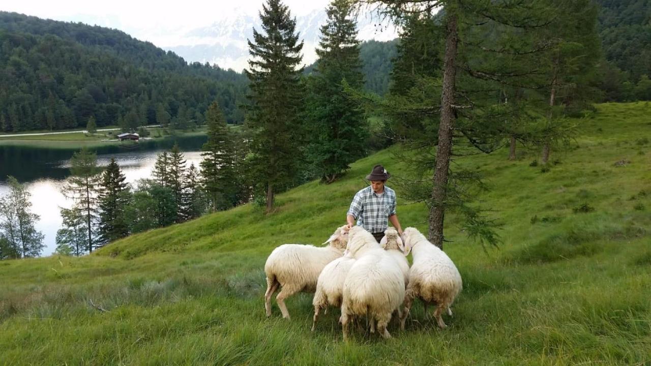 Haus Isartal Lejlighed Mittenwald Eksteriør billede